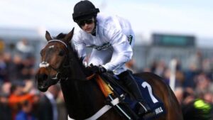 Constitution Hill: Racing star to stay over hurdles